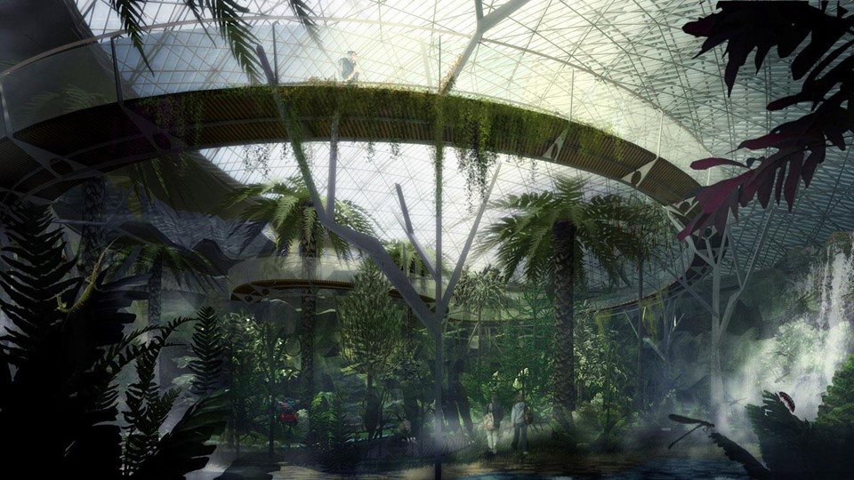 Concurso Bosque Carbonifero