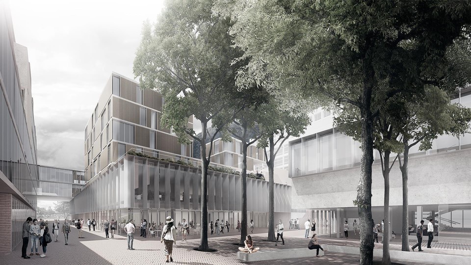 Universidad de los Andes