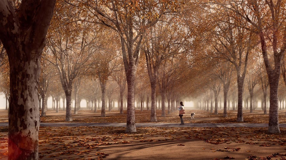 Recuperación del río Tajo