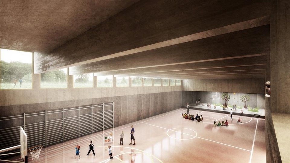 Nueva escuela de Platy